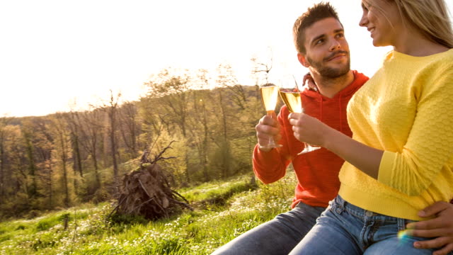 Couple toasting champagne flutes on picnic in nature