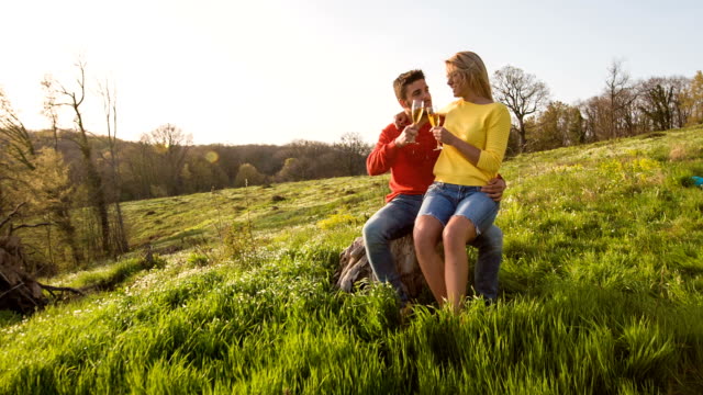 Couple toasting champagne flutes on picnic in nature
