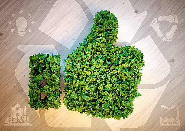 pollice su verde con icone ecologiche. - human hand digitally generated image energy green foto e immagini stock