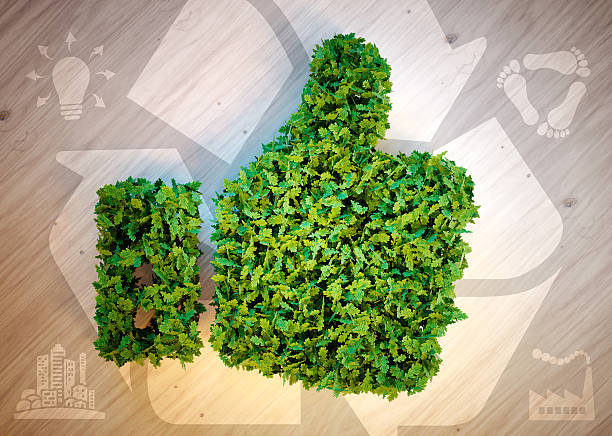 istock Green thumbs up with eco icons. 519677594