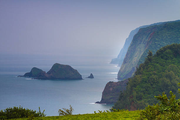 pololu 밸리 전망대 - cliff at the edge of grass sea 뉴스 사진 이미지