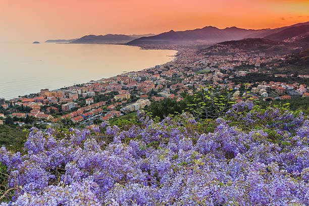 Sunset over the Ligurian Sea with wisteria Orange sunset over the Ligurian Sea with wisteria in the foreground. province of savona stock pictures, royalty-free photos & images
