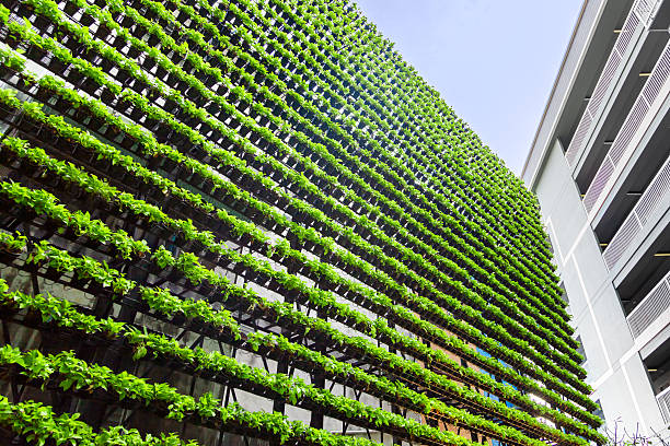 istock Vertical Garden – Green Wall –  BioWall 519679922