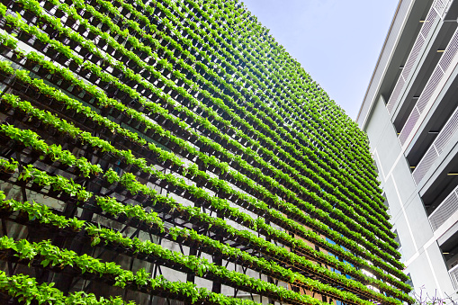 Wall of a building covered with plants,  plants grow in special hydroponic pots