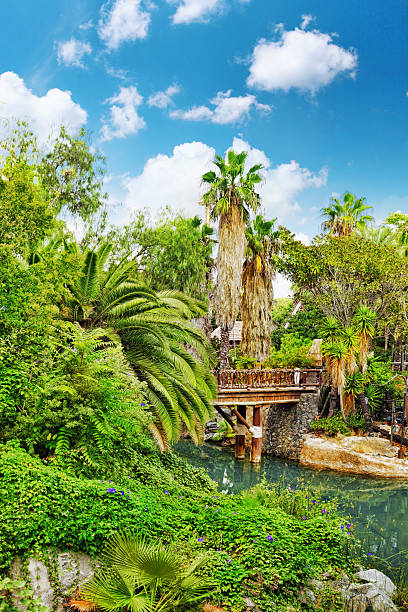 istock Beautiful landscape of tropical jungle. 519682255