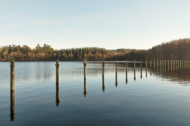 Mooring poles in a lake near Silkeborg, Denmark