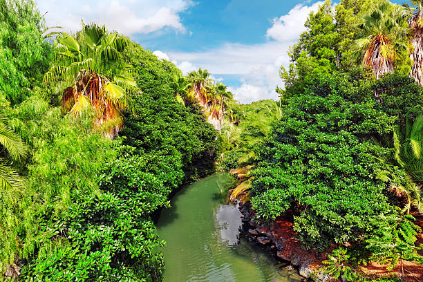 istock Beautiful landscape of tropical jungle. 519682261