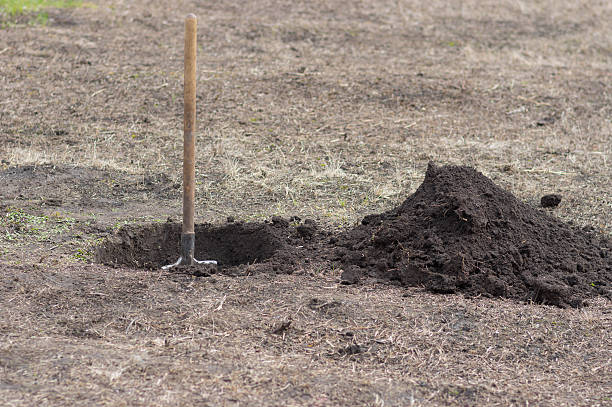 Spade, hole and heap of soil in early spring garden Spade, hole and heap of soil in early spring garden dirt hole stock pictures, royalty-free photos & images