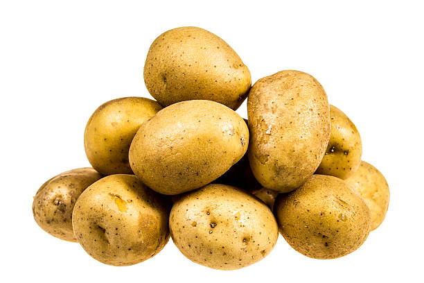 istock Potato isolated on white background close up 519682943