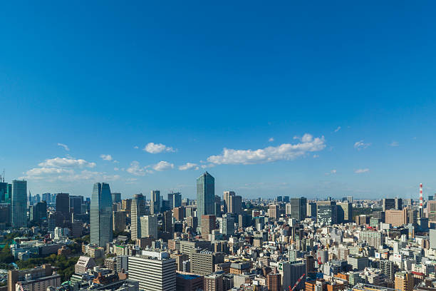 istock The landscape of Tokyo 519683656