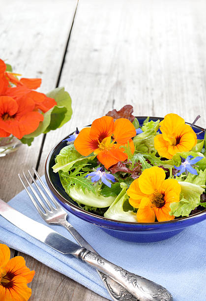 istock Salad with edible flowers nasturtium, borage. 519684495