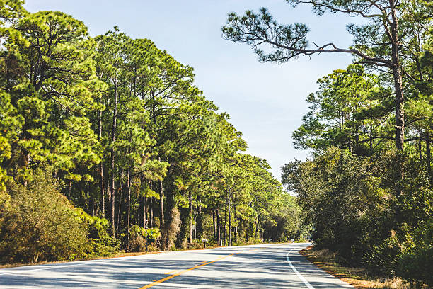 istock On the road in Alabma. 519684885