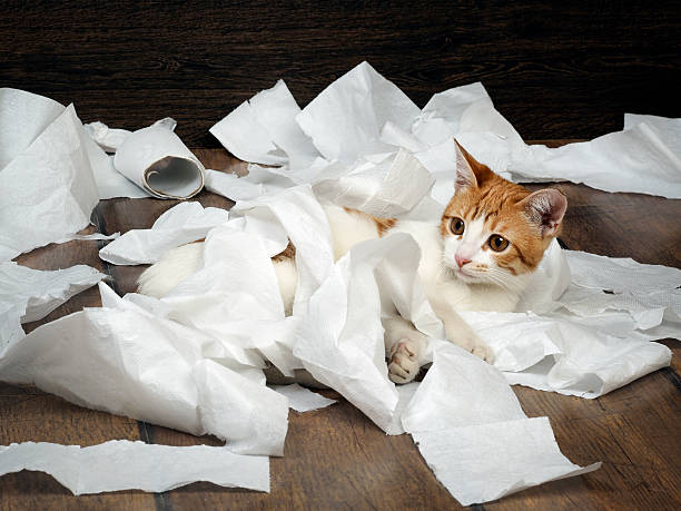 istock Funny kitten playing with the toilet paper 519685176