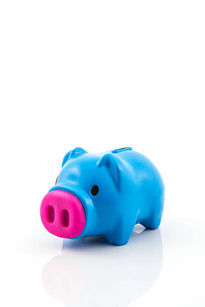 istock Blue piggy bank saving. 519685597