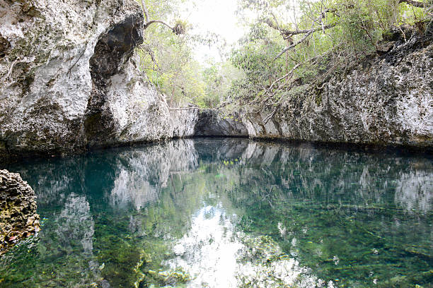 istock Forest with a cenote at Giron 519685764