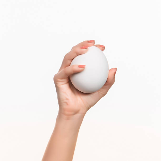 istock The female hand holding white blank styrofoam oval 519685798