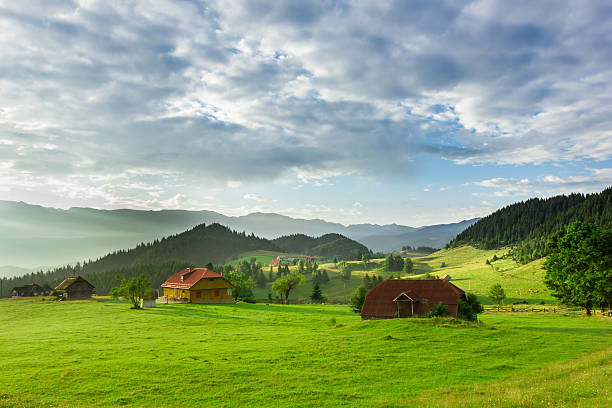 istock Beautiful landscape with green grass 519686343