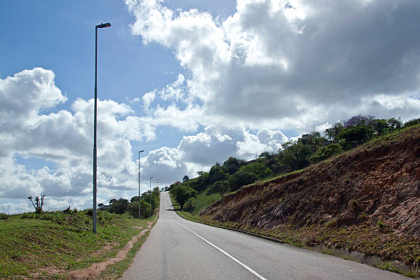 istock Long Straight Empty Road Lined with Street Lamps 519686801