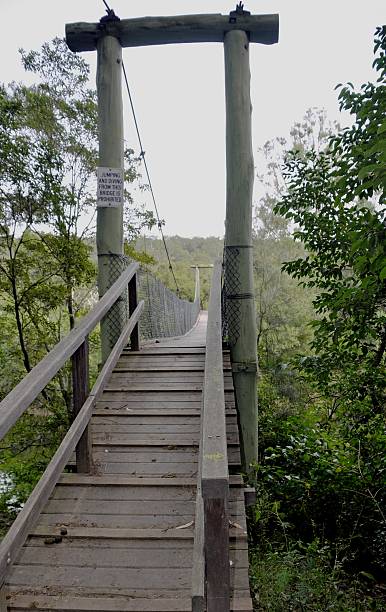 Nature Walk Nowra footbridge crossing the Nowra Creek along hinking path Bens Walk in the escarpment near Nowra, New South Wales, Australia  shoalhaven stock pictures, royalty-free photos & images