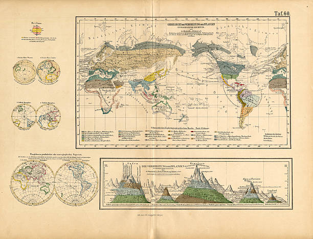 karte von globale verteilung von pflanzen und viktorianische botanischen illustrationen - blume grafiken stock-grafiken, -clipart, -cartoons und -symbole