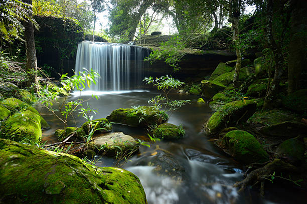 cascada en parque nacional de phu kradueng - waterfall thailand tropical rainforest tropical climate fotografías e imágenes de stock