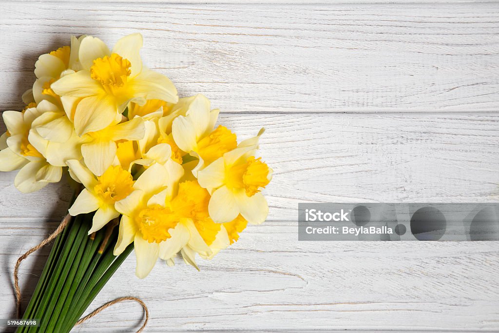 daffodil yellow daffodil bouquet of white wooden board. Daffodil Stock Photo