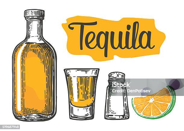 Glass And Botlle Of Tequila Cactus Salt Lime Stock Illustration - Download Image Now - Agave Plant, Alcohol Abuse, Blue Agave