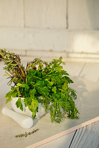 istock Mix Fresh Green Herbs.  Thyme, Rosemary, Dill and Parsley 519688120