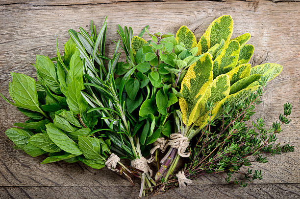 istock Bunch of fresh herbs wooden background. 519688131