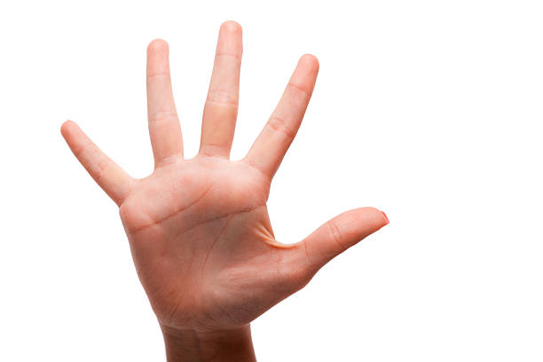istock Our hands helping us to understand more each other 519688411