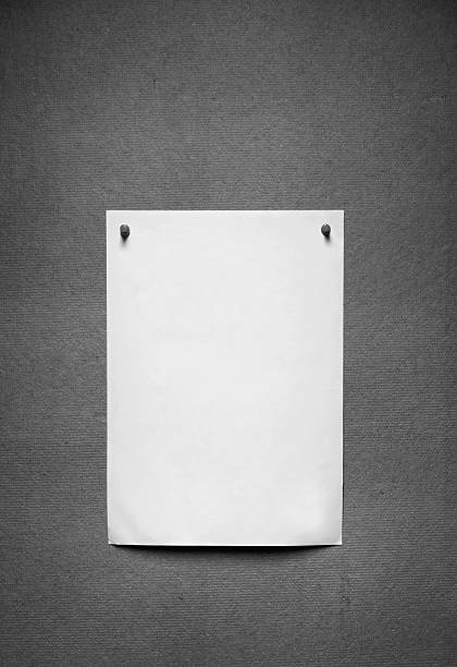 istock White paper on plywood 519688887
