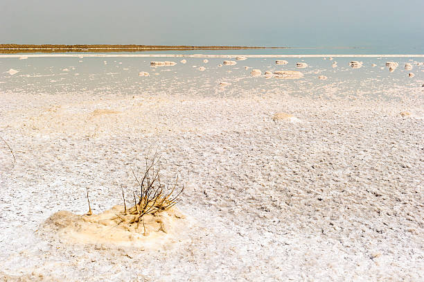 istock Dead Sea, borders Israel, Palestine amd Jordan 519688891