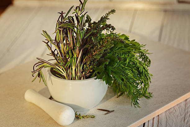 istock Mix Fresh Green Herbs.  Thyme, Rosemary, Dill and Parsley 519689390