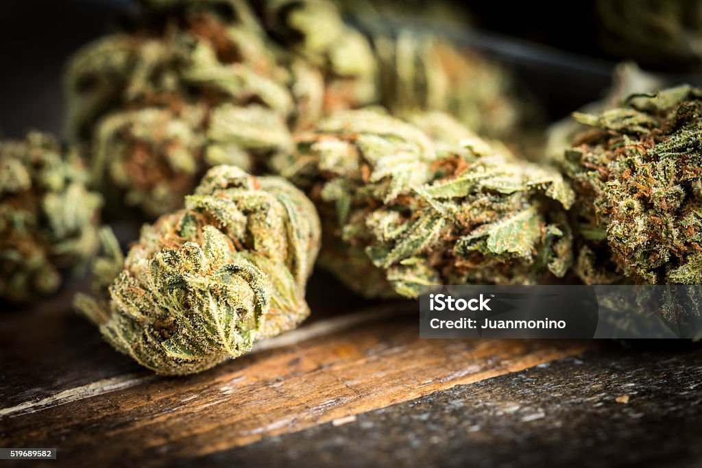 Marijuana Heap of marijuana Cannabis Plant Stock Photo