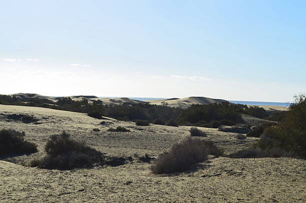 istock Sand dunes at the coast of Gran Canaria 519691296