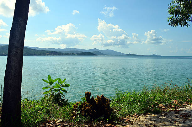 istock view on clear blue water in thailand 519692222