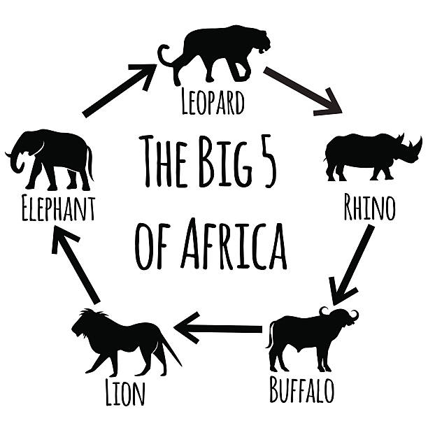 The Big Five Of Africa Stock Illustration - Download Image Now - Five  Animals, Large, Number 5 - iStock