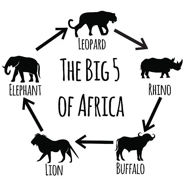 Vector illustration of The big five of Africa.