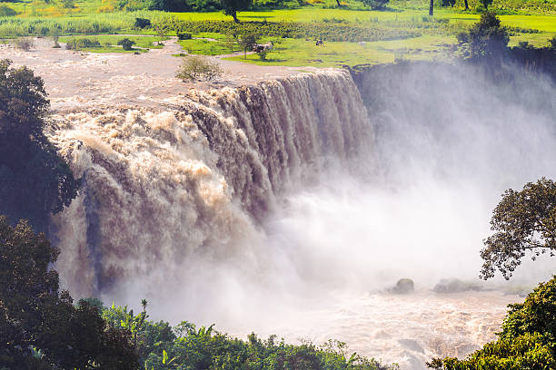 istock Nature of Ethiopia 519701175