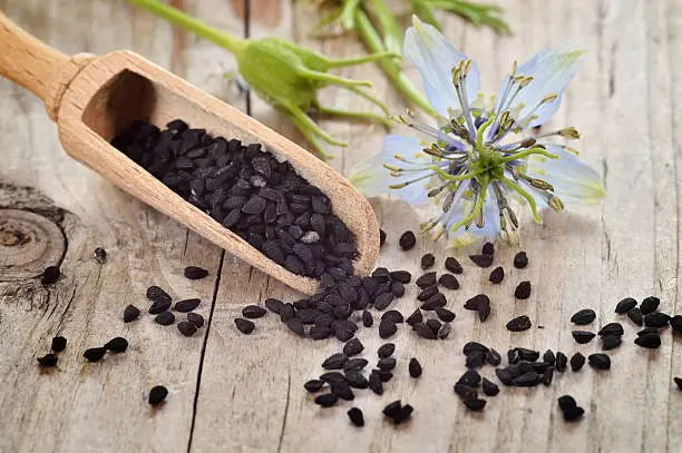 Close-up of nigella sativa seeds on wooden spoon and nigella flower on wooden table. Aromatic black cumin seeds.