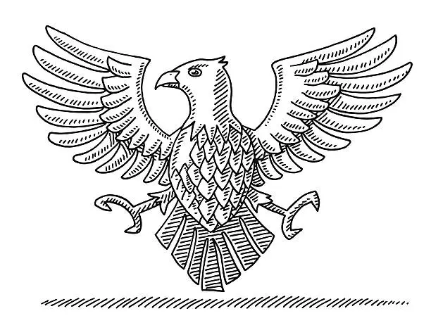 Vector illustration of Falcon Bird Heraldic Symbol Drawing