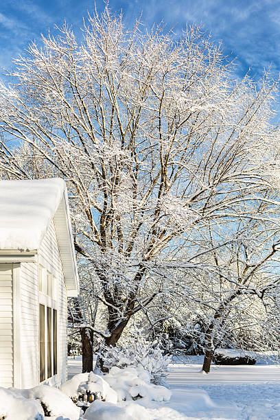 istock Snowcapped Home and Trees the Morning After Blizzard Snow 519702765