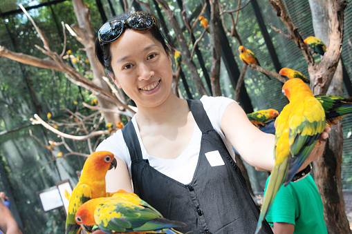 Asian woman play with parrots