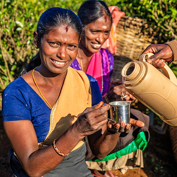 istock Tamil women drinking fresh tea on plantation, Ceylon 519705934
