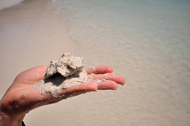 istock Young woman with sand in hands 519706140
