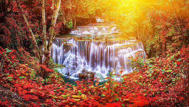 huay mae kamin cachoeira em cascata é bonito na tailândia, fazer - vibrant color leaf bright drop - fotografias e filmes do acervo