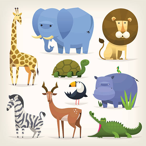 열대 새와 동물 - zoo animal safari giraffe stock illustrations