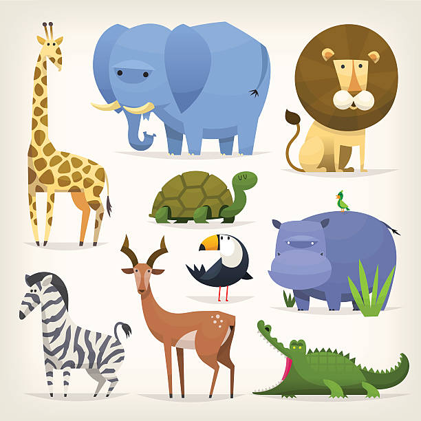 ilustrações, clipart, desenhos animados e ícones de pássaros tropicais e animais - elephant water vector animals in the wild