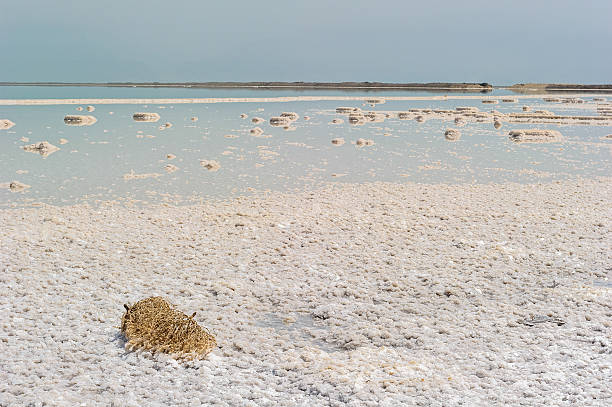 istock Dead Sea, borders Israel, Palestine amd Jordan 519707261