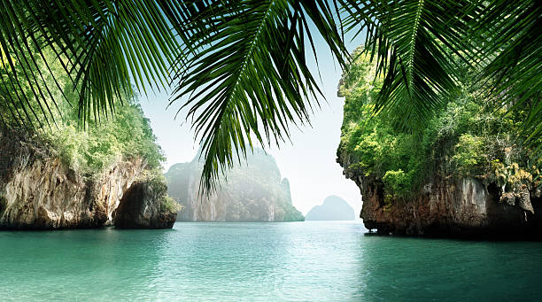 tropical sea and rocks
